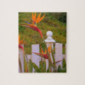Vogel van Paradise 2 Legpuzzel (Verticaal)