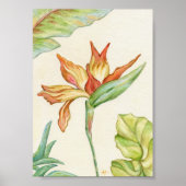 Vogel van Paradise Art afdrukken 5x7 Poster (Voorkant)