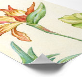 Vogel van Paradise Art afdrukken 5x7 Poster (Hoek)