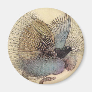 Vogel van Paradise Art Magnet