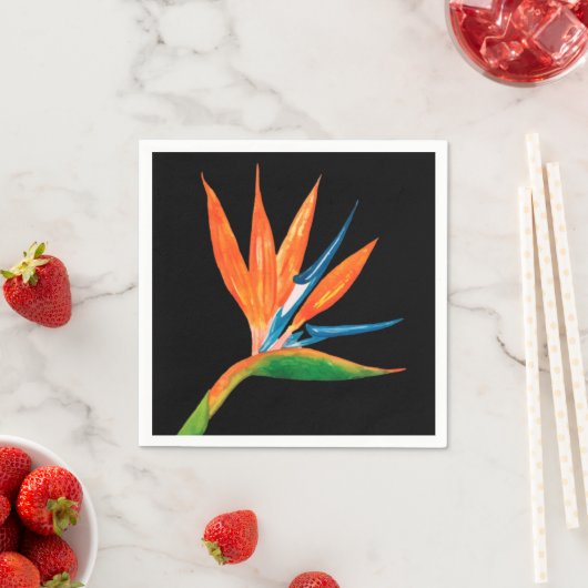 Vogel van Paradise Black Servet (Insitu)