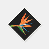 Vogel van Paradise Black Servet (Hoek)