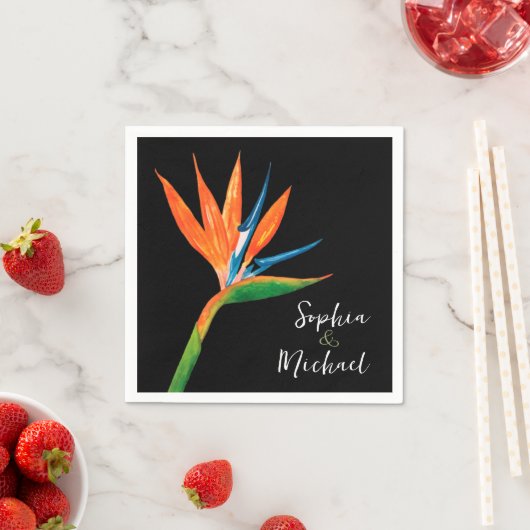 Vogel van Paradise Black Servet (Insitu)