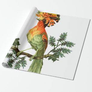 Vogel van Paradise en exotische bloemen op een wit Cadeaupapier