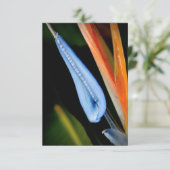 Vogel van Paradise Foto Bedankkaart (Staand voorkant)