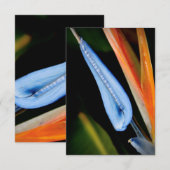 Vogel van Paradise Foto Bedankkaart (Voorkant / Achterkant)