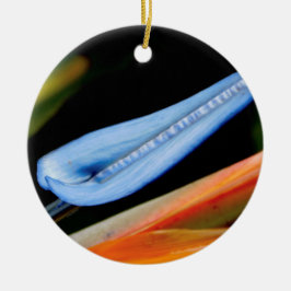 Vogel van Paradise Foto Keramisch Ornament