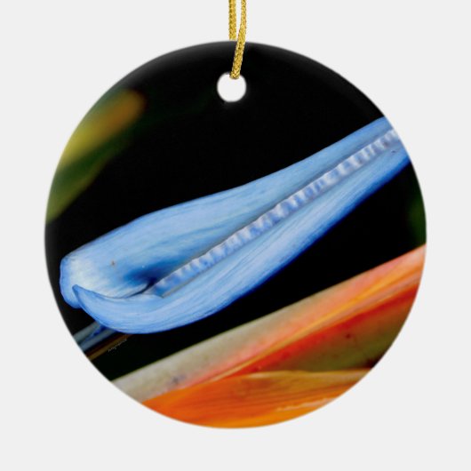 Vogel van Paradise Foto Keramisch Ornament (Voorkant)