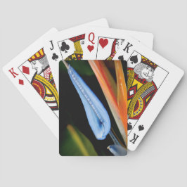 Vogel van Paradise Foto Pokerkaarten