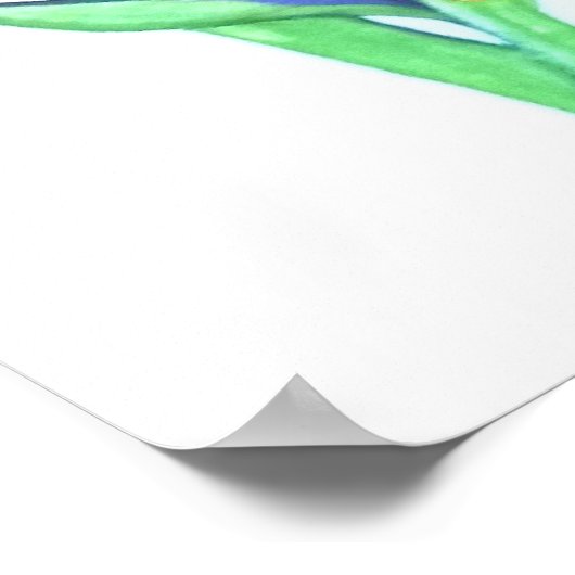 Vogel van Paradise I Poster (Hoek)