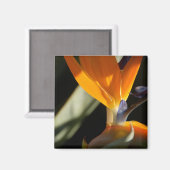 Vogel van Paradise Magnet (Voorkant / Achterkant)