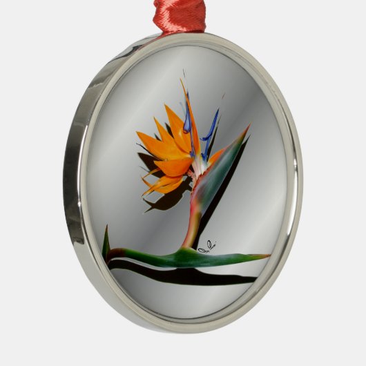 Vogel van Paradise met Shadow Ornament (Rechts)