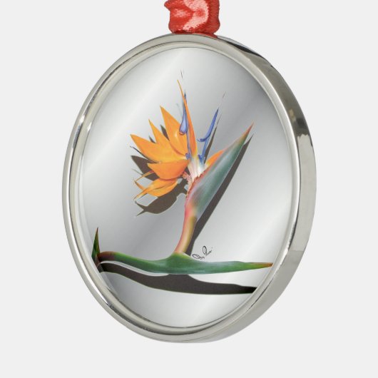 Vogel van Paradise met Shadow Ornament (Links)