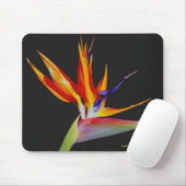 Vogel van Paradise Mousepad Muismat (Met muis)