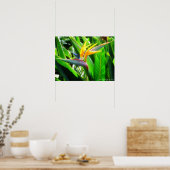 Vogel van Paradise Print (Keuken)