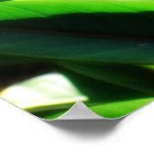 Vogel van Paradise Print (Hoek)