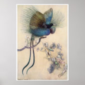 Vogel van Paradise Print Warwick Goble (Voorkant)