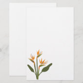 Vogel van Paradise Stationery Briefpapier (Voorkant / Achterkant)