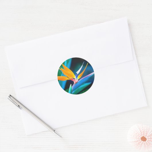 Vogel van Paradise Sticker (Envelop)