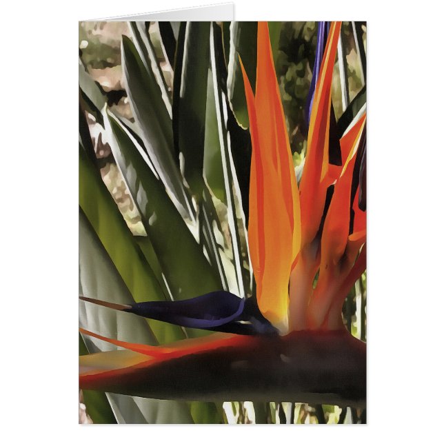 Vogel van Paradise Strelitzia Reginae AcrylPainti (Voorkant)