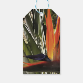 Vogel van Paradise Strelitzia Reginae AcrylPainti Cadeaulabel