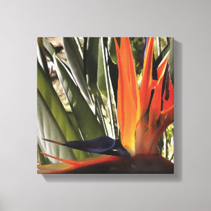 Vogel van Paradise Strelitzia Reginae AcrylPainti Canvas Afdruk
