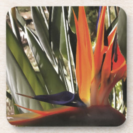 Vogel van Paradise Strelitzia Reginae AcrylPainti Drankjes Onderzetter