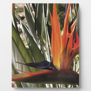 Vogel van Paradise Strelitzia Reginae AcrylPainti Fotoplaat