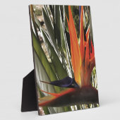 Vogel van Paradise Strelitzia Reginae AcrylPainti Fotoplaat (Zijkant)