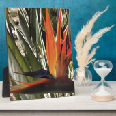 Vogel van Paradise Strelitzia Reginae AcrylPainti Fotoplaat (Zijkant)