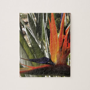 Vogel van Paradise Strelitzia Reginae AcrylPainti Legpuzzel