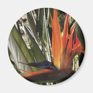 Vogel van Paradise Strelitzia Reginae AcrylPainti Magneet