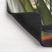 Vogel van Paradise Strelitzia Reginae AcrylPainti Muismat (Hoek)