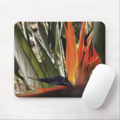 Vogel van Paradise Strelitzia Reginae AcrylPainti Muismat (Met muis)