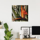 Vogel van Paradise Strelitzia Reginae AcrylPainti Poster (Thuiskantoor)