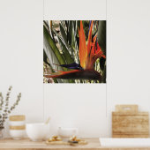 Vogel van Paradise Strelitzia Reginae AcrylPainti Poster (Keuken)