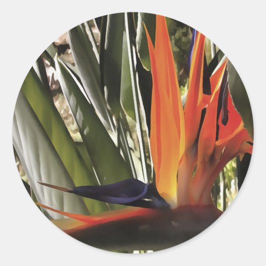 Vogel van Paradise Strelitzia Reginae AcrylPainti Ronde Sticker (Voorkant)