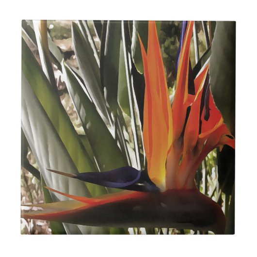 Vogel van Paradise Strelitzia Reginae AcrylPainti Tegeltje (Voorkant)