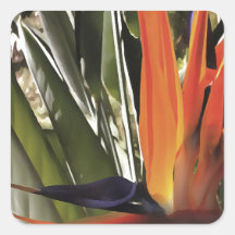 Vogel van Paradise Strelitzia Reginae AcrylPainti