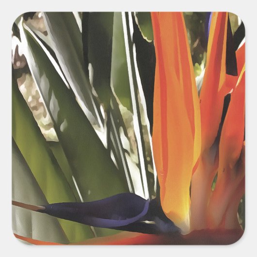 Vogel van Paradise Strelitzia Reginae AcrylPainti Vierkante Sticker (Voorkant)