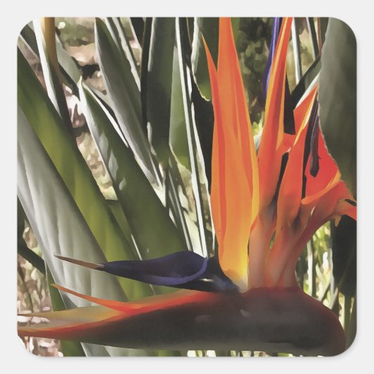 Vogel van Paradise Strelitzia Reginae AcrylPainti Vierkante Sticker (Voorkant)