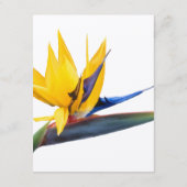 Vogel van Paradise Wedding Wishing Well Kaarten (Achterkant)