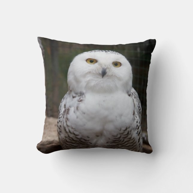 Vogel van Prey #19-Snowy Owl Kussen (Voorkant)