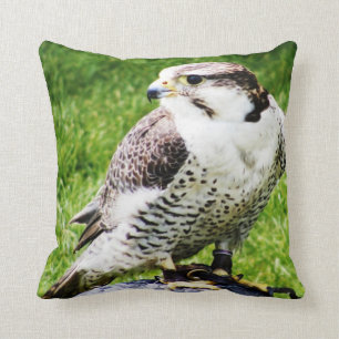 Vogel van Prey #2-Peregrine Falcon Kussen