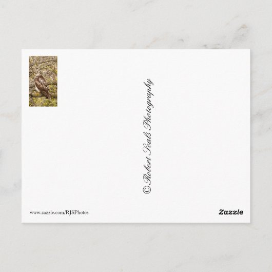 Vogel van Prey Briefkaart (Achterkant)