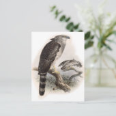 Vogel van Prey Briefkaart (Staand voorkant)