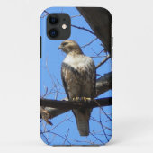 Vogel van Prey iPhone 5 hoesje (Achterkant)