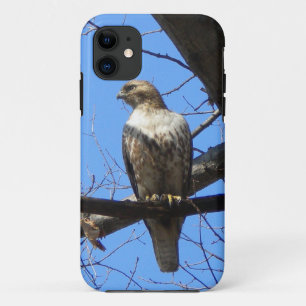 Vogel van Prey iPhone 5 hoesje