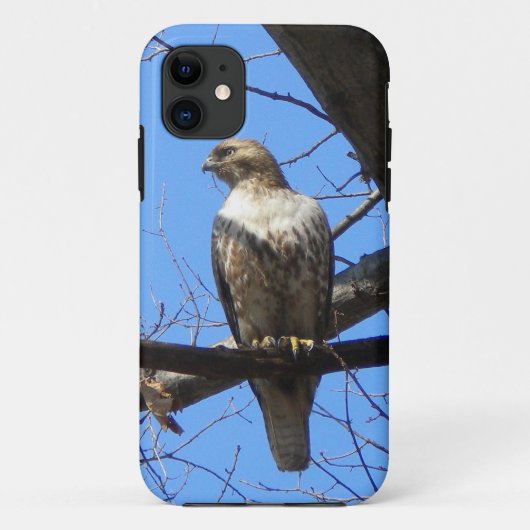 Vogel van Prey iPhone 5 hoesje (Achterkant)