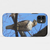 Vogel van Prey iPhone 5 hoesje (Achterkant (horizontaal))